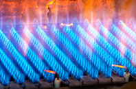 Ederny gas fired boilers